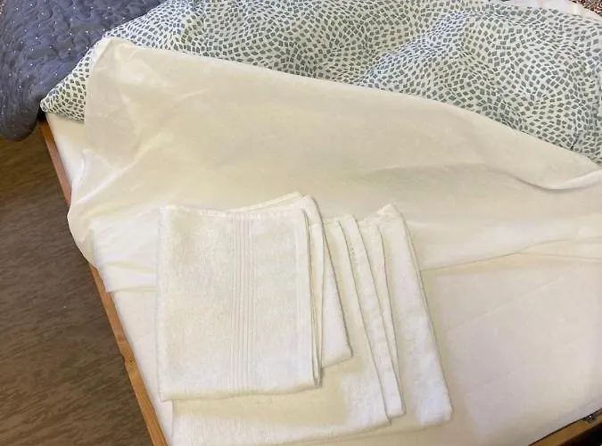 Budget In # 1 캠프장 콧카